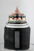 WDZAN-YJY23 低烟无卤阻燃耐火电力电缆